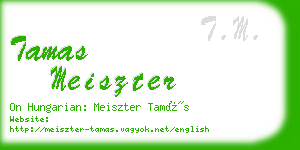 tamas meiszter business card